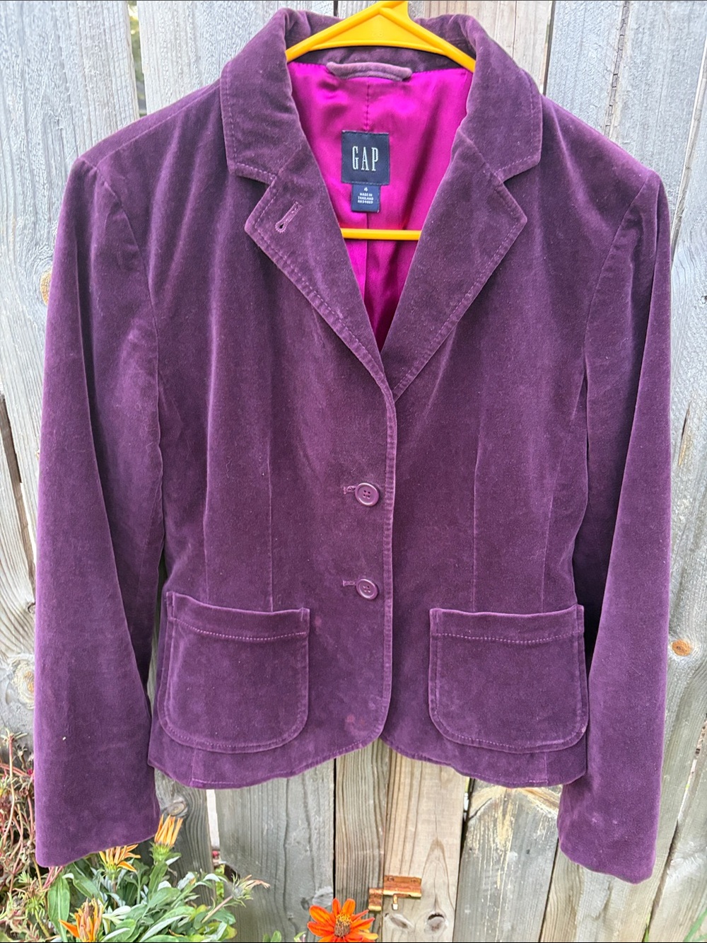 GAP Women's Velvet Blazer in Plum Purple